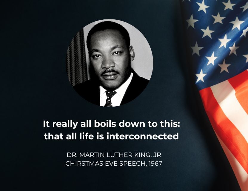 what did mlk do to change the world